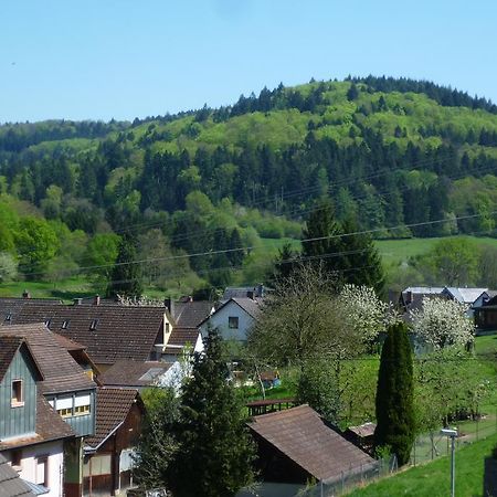Schwarzwald Domizil Uhlsberg Apartment Kippenheim Ruang foto