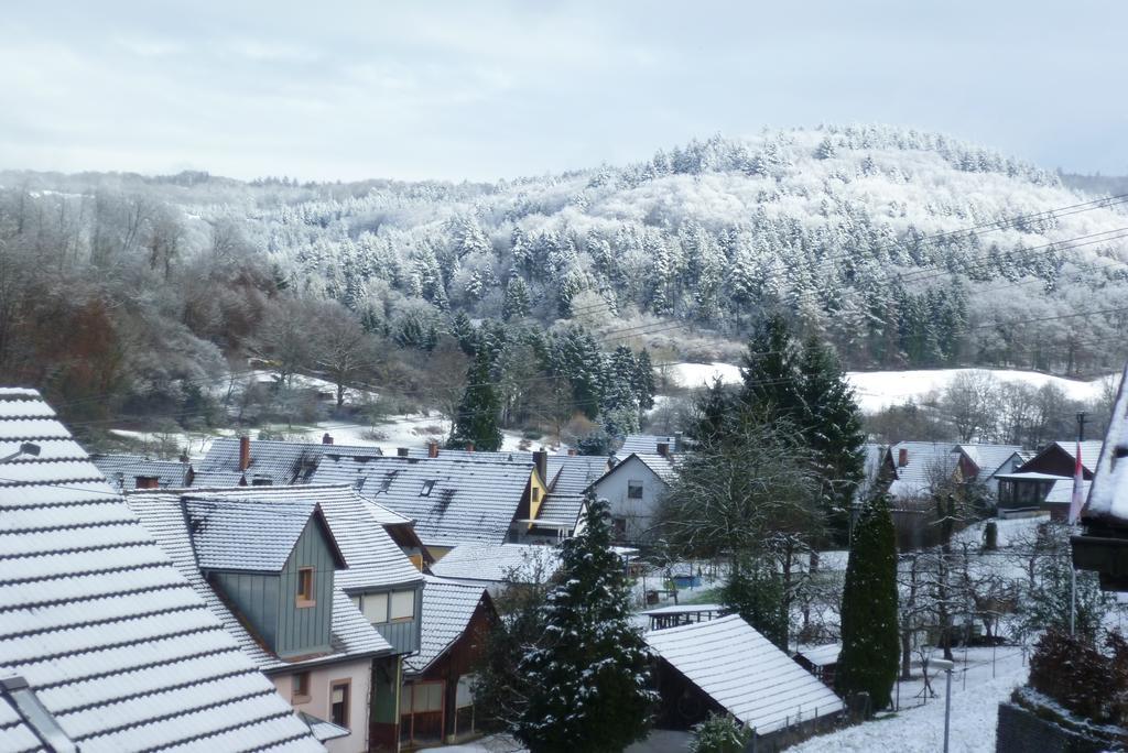 Schwarzwald Domizil Uhlsberg Apartment Kippenheim Ruang foto