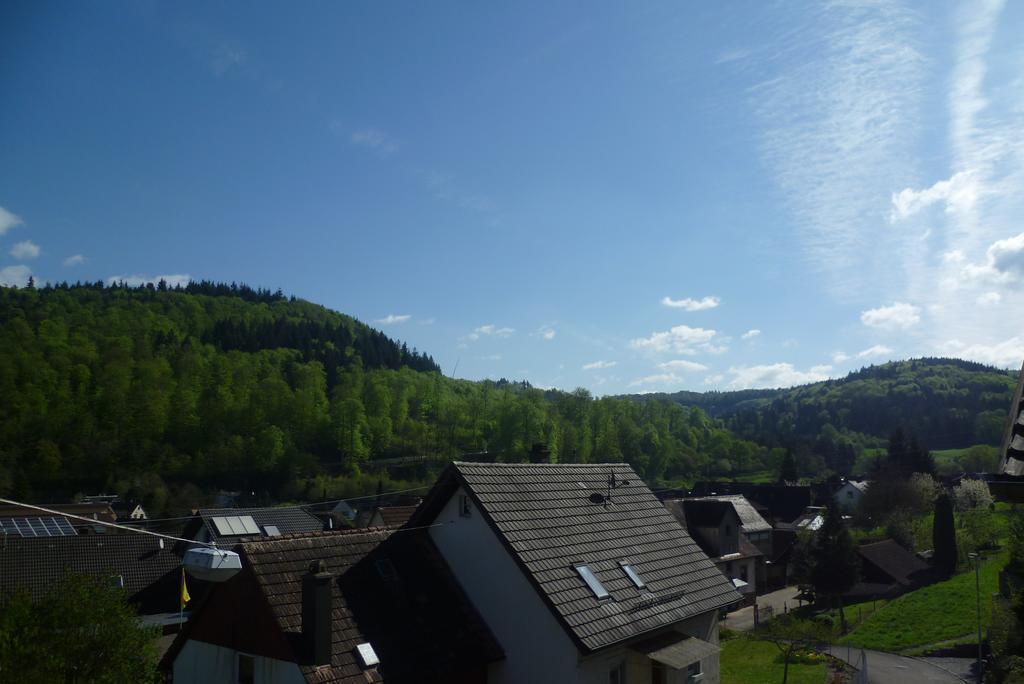 Schwarzwald Domizil Uhlsberg Apartment Kippenheim Ruang foto