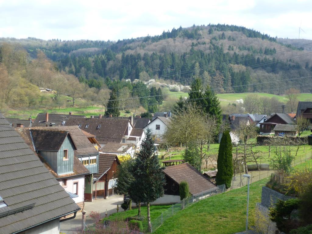 Schwarzwald Domizil Uhlsberg Apartment Kippenheim Ruang foto