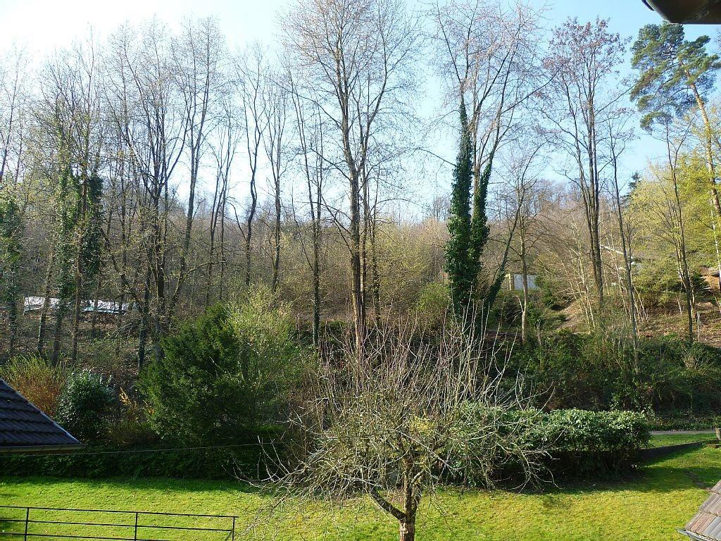 Schwarzwald Domizil Uhlsberg Apartment Kippenheim Bagian luar foto