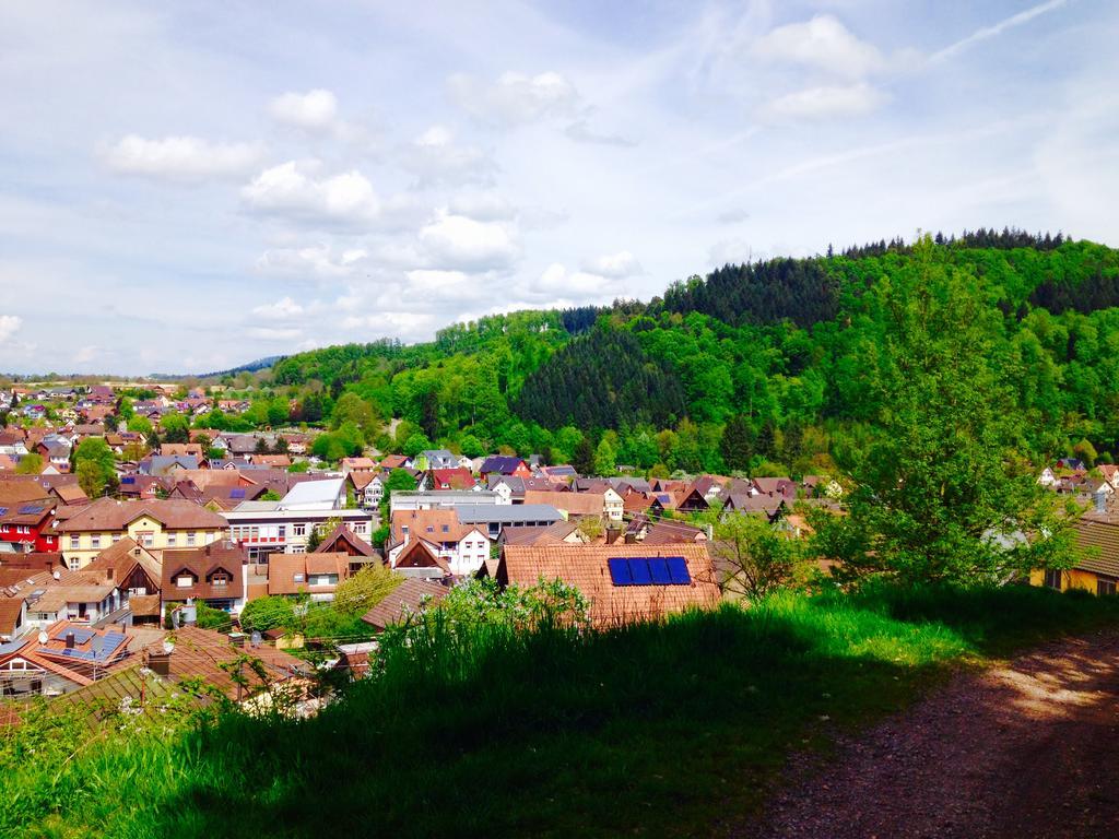 Schwarzwald Domizil Uhlsberg Apartment Kippenheim Bagian luar foto