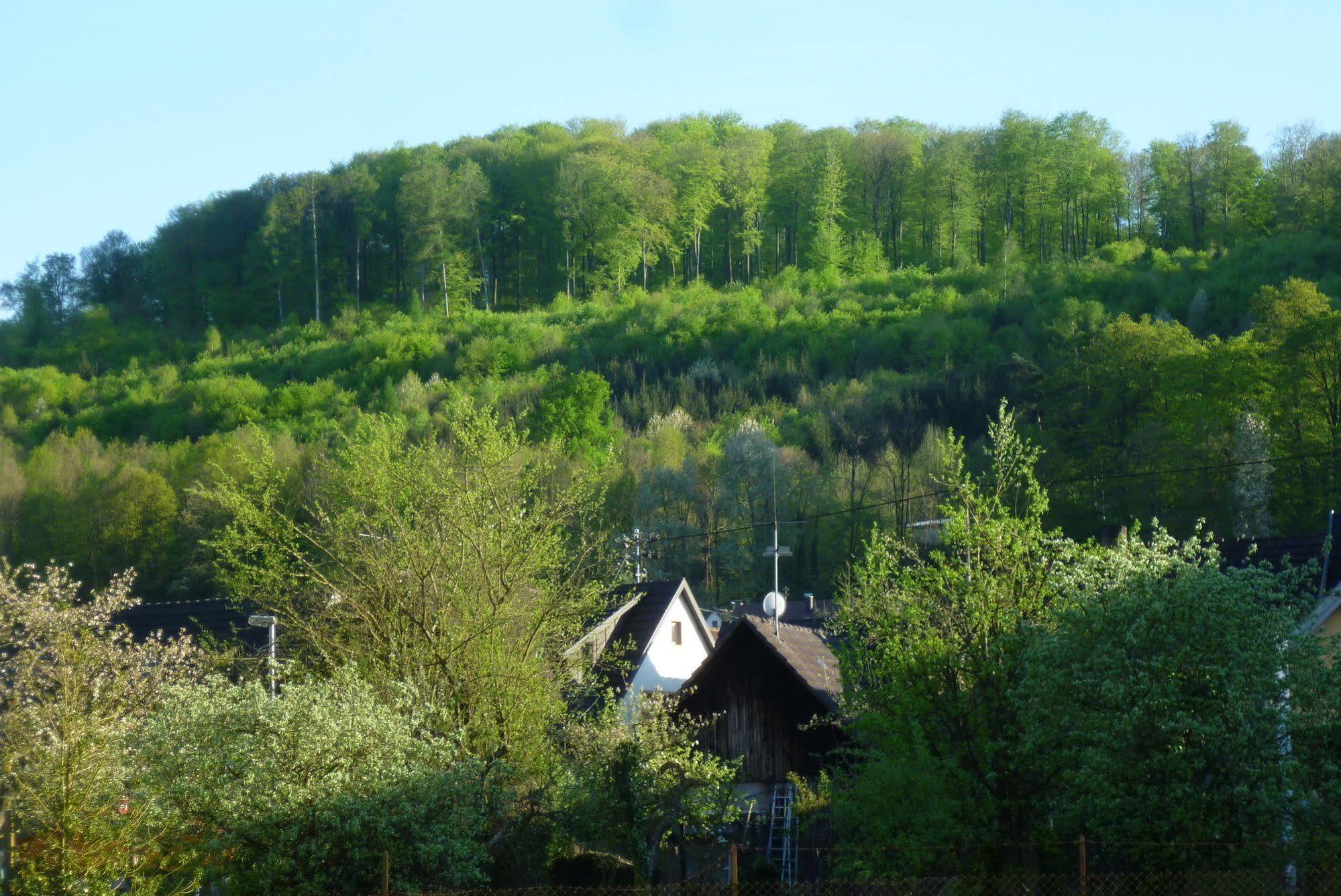 Schwarzwald Domizil Uhlsberg Apartment Kippenheim Bagian luar foto